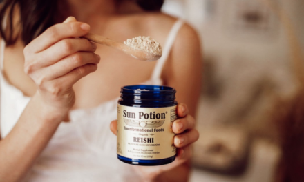 Sun Potion Transformational Foods  (and yes, literally!)
