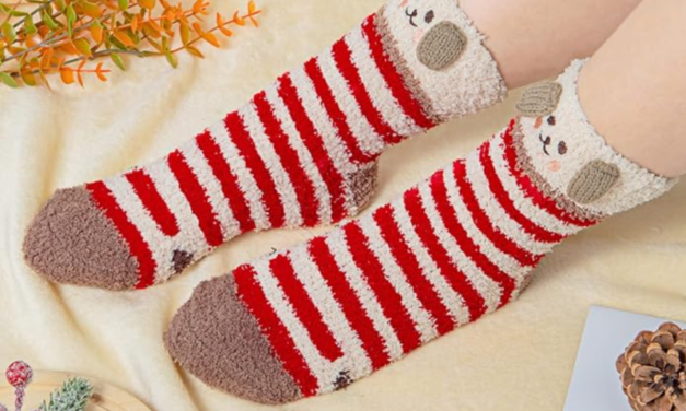 Best Under $25 Stocking Stuffers You Can Find on Amazon